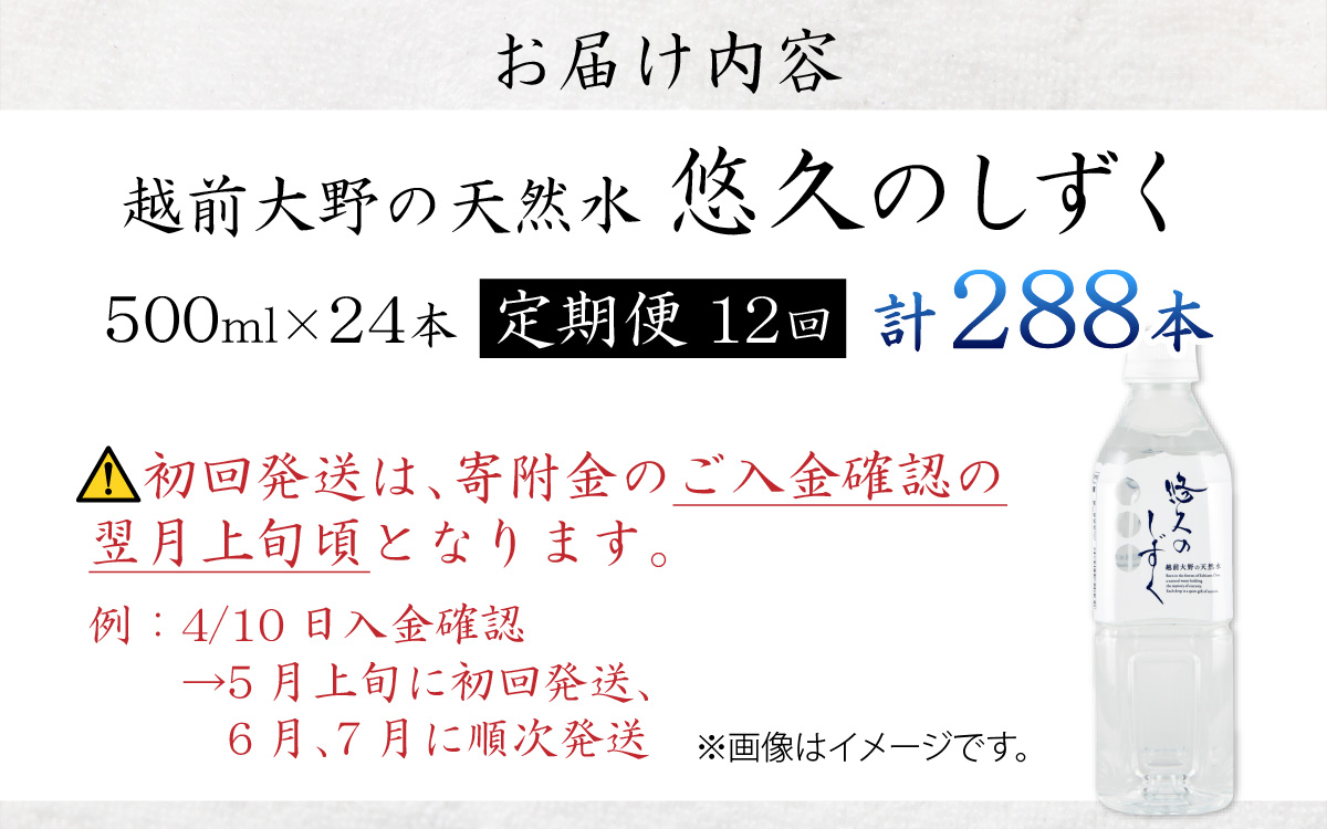 【12ヶ月連続お届け】越前大野の天然水　悠久のしずくPET500ｍｌ×24本×12回　計288本