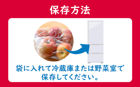 訳あり 盛岡りんご りんご 5kg 16～18個 家庭用 11月限定 下久保農園 shitakubo003