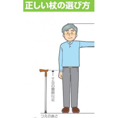 ふるさと納税 北名古屋市 国産アルミ製　T字杖　TY125 |  | 01
