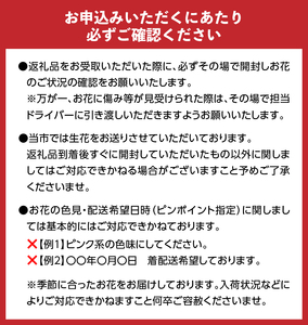 【6ヶ月定期便】花のある生活～小松弘典が手がけるフラワーアレンジメント～イメージ別に選ぼう！キュートなイメージ（Mサイズ）【定期便：毎月１回×6ヶ月】