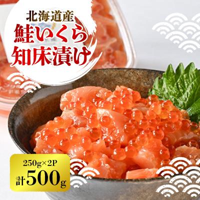 ふるさと納税 斜里町 【一度で二度おいしい】鮭といくらの知床漬け(250g)×2パック