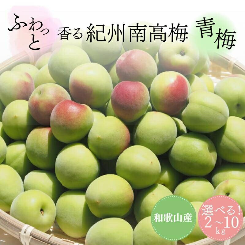 【ふるさと納税】ふわっと香る紀州南高梅　青梅　容量選べる！2kg 3kg 5kg 10kg ※2026年6月中旬～7月上旬頃に順次発送予定【期間限定：2026年6月15日まで】 / 和歌山 田辺市 紀州南高梅 南高梅 梅干し 梅干 梅 うめ 青梅 梅シロップ 梅酒