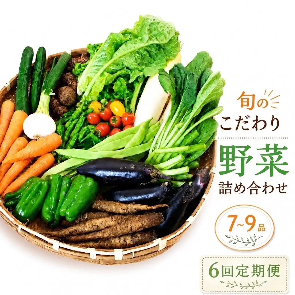 【先行予約】 【6回定期便】 新鮮野菜セット(7～9品)