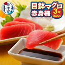 【ふるさと納税】 まぐろ 目鉢 刺身 漬け 赤身 柵 約600g 魚 急速冷凍 真空パック 食べきり 天然 焼津 a10-1059