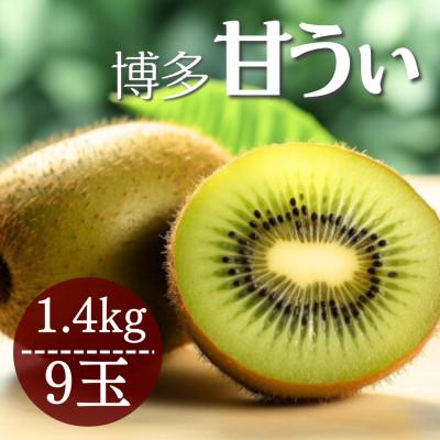ふるさと納税 北九州市 福岡県産 博多甘うぃ 約1.4kg (大玉9玉入り)【2025年10〜11月発送】