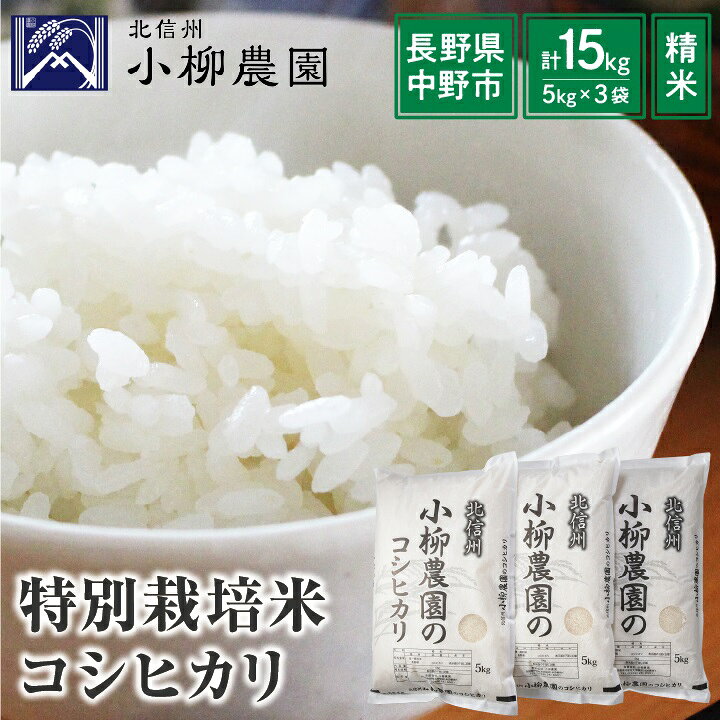 【ふるさと納税】小柳農園の特別栽培米コシヒカリ15kg(5kg×3)_ コメ 米 こめ おこめ お米 こしひかり 特別栽培米 人気 おすすめ 送料無料 産地直送 【1204307】