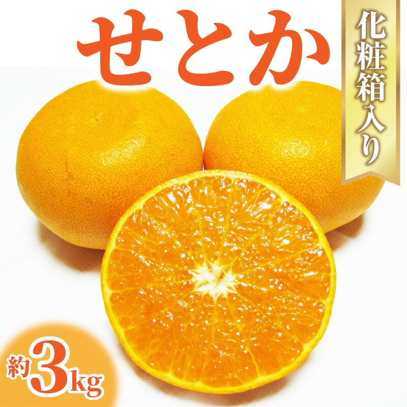 【ふるさと納税】【配送不可地域：北海道・沖縄県・離島】みかん せとか 約 3kg 7玉～12玉 国産 とろける食感 とろける甘さと濃厚な風味 なめらかで美しい果肉 みかんの大トロ とも呼ばれる 海外からも注目 柑橘 フルーツ 果物 2月上旬から2月下旬頃の順次発送  秋 旬