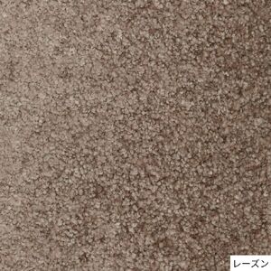 T113(レーズン/200×200cm)4色から選べるファブリーズの消臭・抗菌ナイロンラグ ２サイズ展開(レーズン/200×200cm)