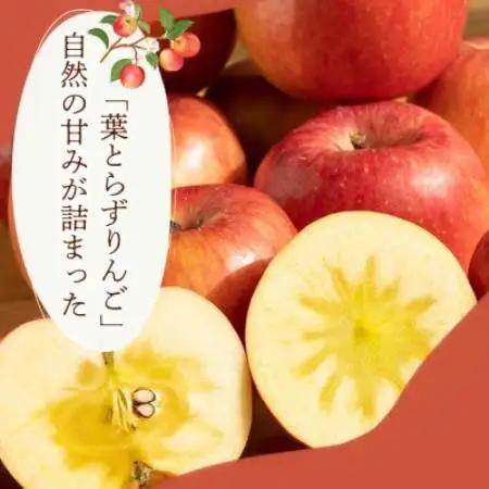 【爽やかな甘酸っぱさ】シナノリップ 5kg 1セット【1780238】