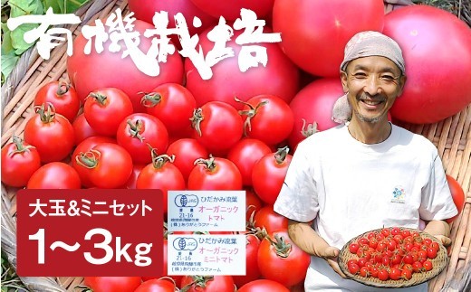
                  【令和8年産 26年先行予約】トマトとミニトマトのセット 有機JAS認定 1kg 2kg 3kg とまと 大玉 甘い 特産 国産 野菜 ミニトマト 旬 有機野菜 ありがとうファーム 送料無料  [A0091x_26] 《hida0307》
                