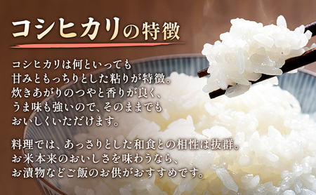 【新潟県上越市産】コシヒカリ（特別栽培米）　10kg 米 お米 こしひかり ご飯 精米 新潟 上越