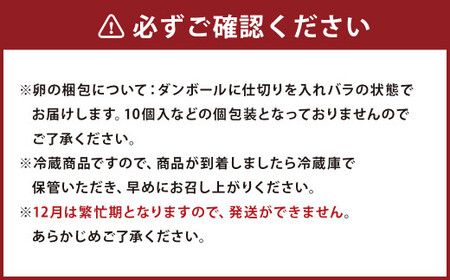 純国産鶏 コッコファーム の たまご 80個入 卵 玉子 鶏卵