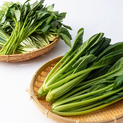 ふるさと納税 神戸町 ごうどいい菜セット(小松菜6袋、水菜3袋、グリーンねぎ8袋、ハウスほうれん草3袋) |  | 02