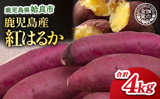 紅はるか(生芋4kg)さつまいも 芋 ストック 腸活 おやつ 間食 人気 国産 自然食品 (a174)