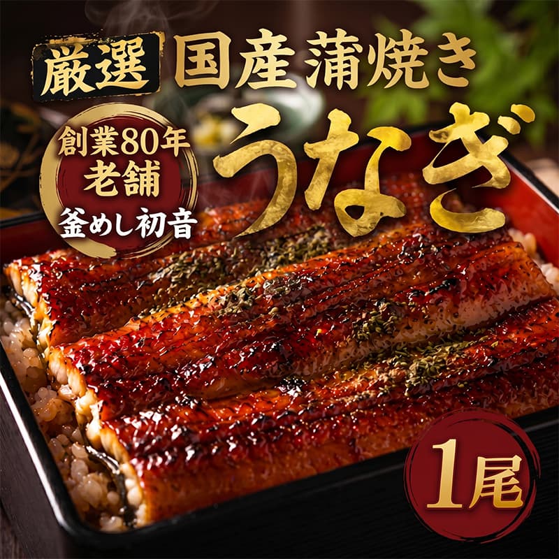 【ふるさと納税】うなぎ蒲焼き 1本 約190g～220g タレ付き ウナギ 鰻 初音 国産 高知県産 魚 魚介類 冷凍 15,000円 送料無料 hn088 土用の丑の日
