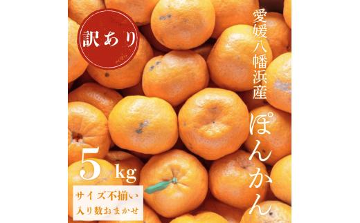 【先行受付】＜南国を感じさせる独特の香り＞訳あり 愛媛ポンカン 5kg＜C20-54＞【1595884】 YWTI049
