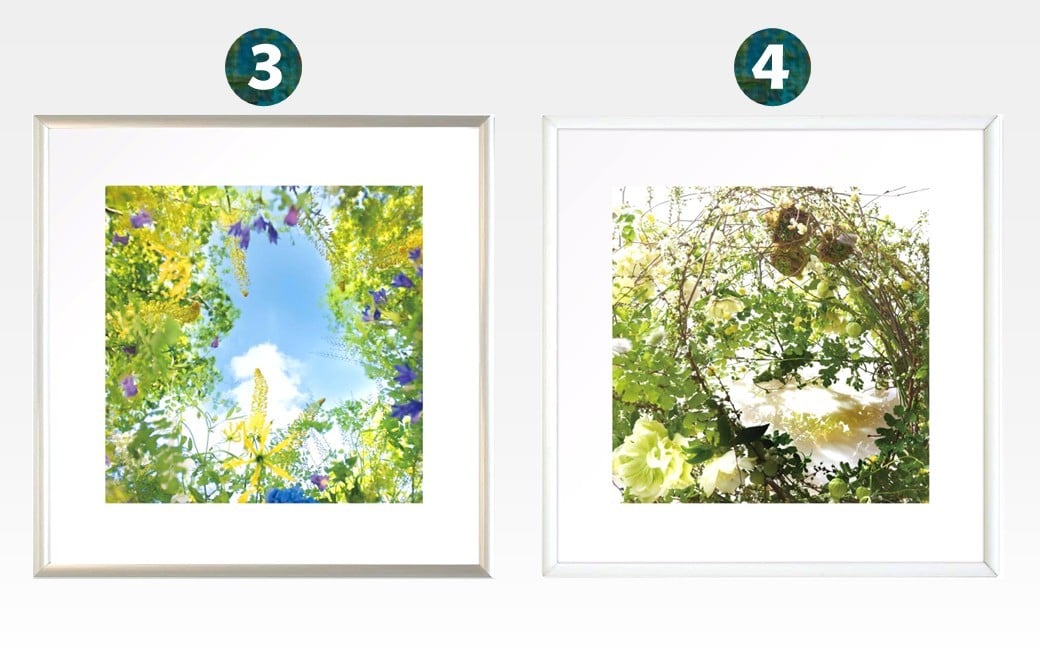 （3）Sunshine Meadow Blossoms　（4）Luxuriant Verdure Vision