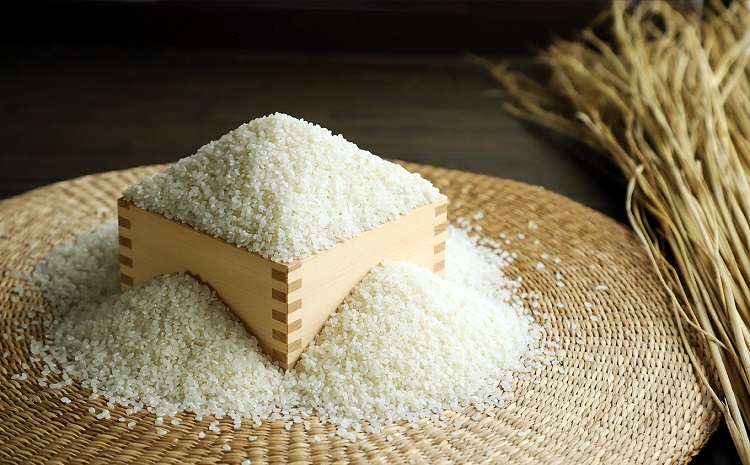 【3回定期便】 《 新米先行予約 》 こしひかり 京丹波町産 5kg 3カ月定期便 合計15kg 令和6年産米 精米 お米 京都 丹波 コシヒカリ 特A獲得 農家直送 ※北海道・東北・沖縄・その他離島