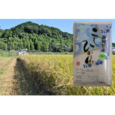 【毎月定期便】静岡こしひかり(精米)10kg×1袋全3回【4076036】