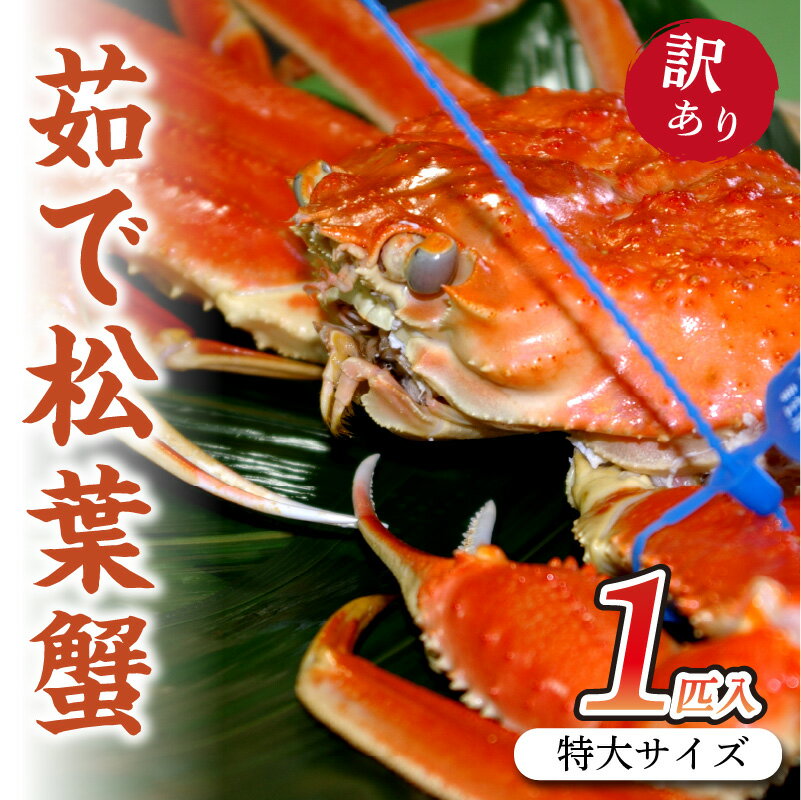 【ふるさと納税】日本海産　ブランド蟹　 茹で松葉蟹 【訳あり】特大サイズ　matubakani1000 ズワイガニ 松葉ガニ 1kg 1000g ボイル 年末 かに カニ 蟹 ブランド蟹 国産 ボイル 高級 訳あり まるごと 大きなカニ ごちそう 甲殻類 ご褒美 京都 丹後 送料無料