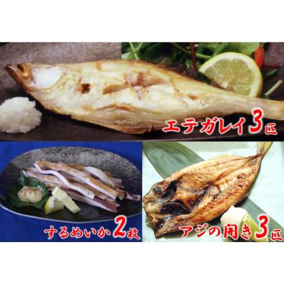 ふるさと納税 香美町 一夜干し3点セット |  | 02