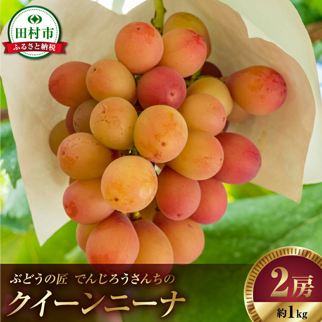 【ふるさと納税】【 先行予約 2025年発送 】 クイーンニーナ 約1kg 冷蔵 高級 種無し 種なし シャインマスカット ブドウ ぶどう 品種 果物 甘い 巨峰 美味しい 希少 人気 福島県 田村市 福島 ふくしま 鈴木農園 でんじろうさん