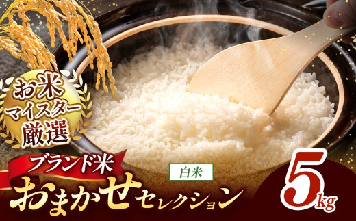 【 令和7年産 】おまかせ セレクション 熊本県産 白米  ＜ひのひかり / 森のくまさん / くまさんの輝き ＞ 5kg 単品 | 単一銘柄 米 単一米 お米 こめ 小分け 人気 コメ お米 5kg 10kg 15kg 20kg 25kg 30kg ブランド米 菊池川流域 家庭用 送料無料 熊本 くまもと 熊本県 和水 和水町 人気 ごはん