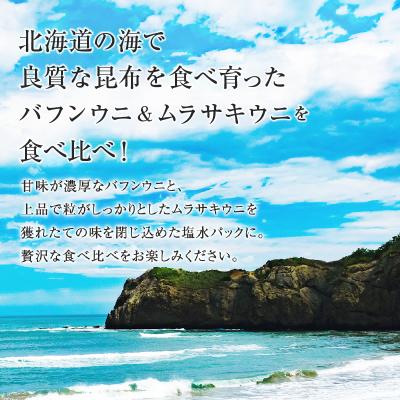 ふるさと納税 余市町 【先行受付:2025年4月末以降順次発送】北海道産 塩水ウニ(ムラサキ&バフン)_Y038-0142 |  | 01