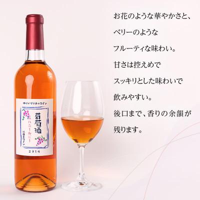 ふるさと納税 河内長野市 ハニールビーワイン 720ml |  | 01