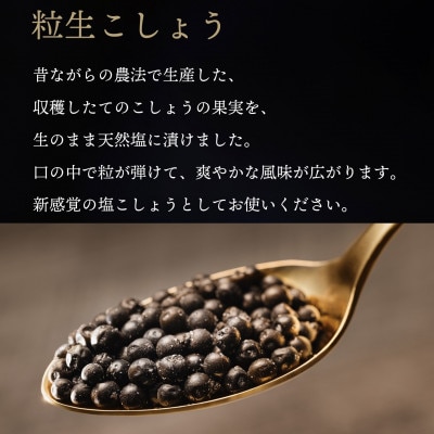 【世界初・元祖】粒生こしょう 30g×3個 生胡椒の塩漬け 入間市贈答ギフトセット【1391432】