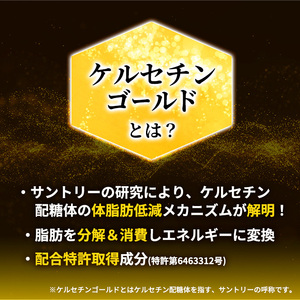 定期便 3ヵ月 伊右衛門 特茶TOKUCHA 伊右衛門（特定保健用食品）500mlペット 2箱 48本　