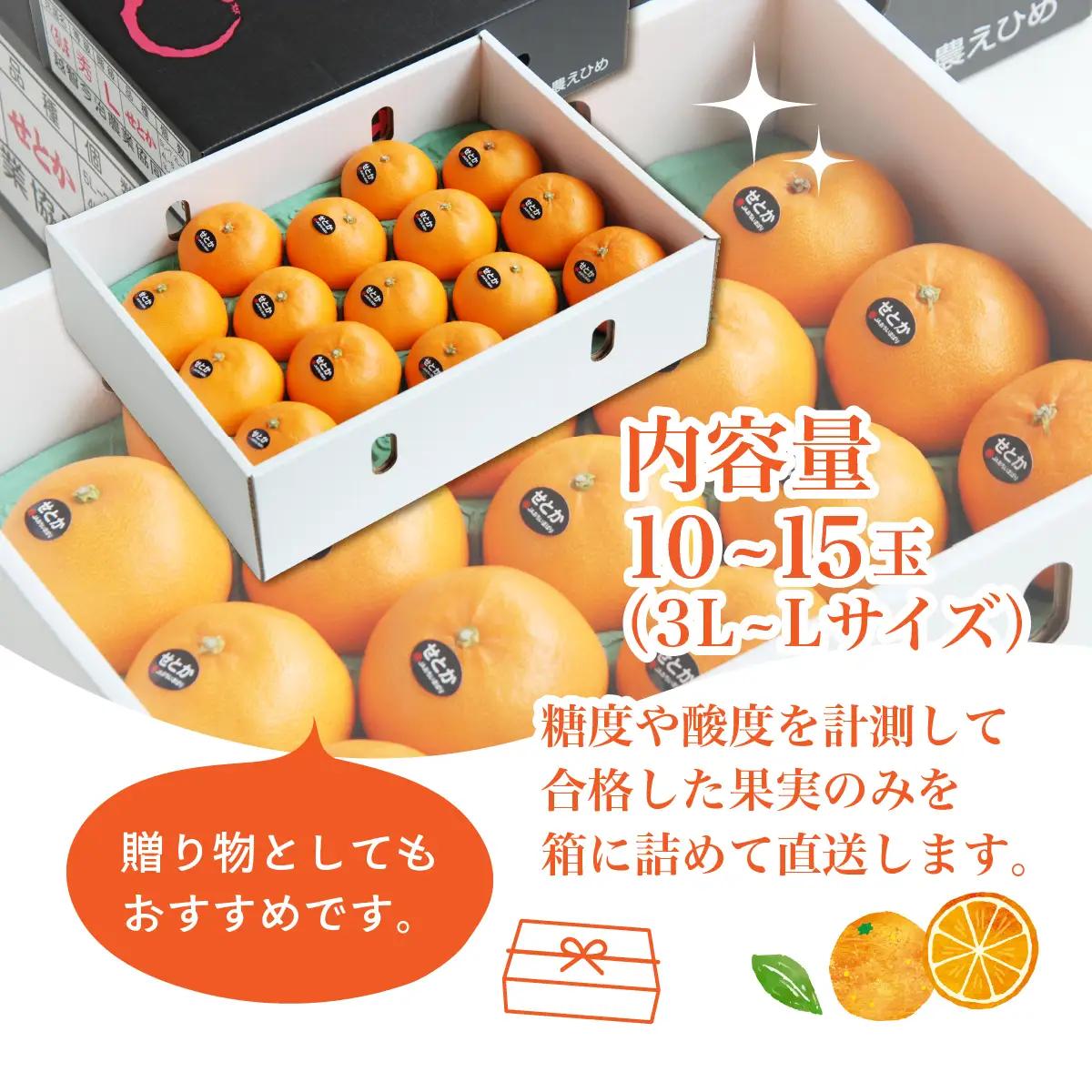 みかん せとか 化粧箱 3L～Lサイズ 10～15玉