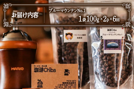 【6回定期便】 コーヒー豆 ブルーマウンテン 100g 2パック