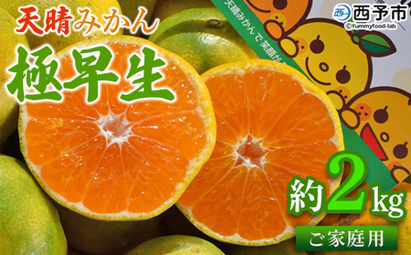 ＜天晴みかん 極早生 家庭用 約2kg＞ 温州ミカン 柑橘 果物 くだもの フルーツ 蜜柑 訳あり ワケアリ 自宅用 期間限定 季節限定 食べて応援 特産品 産地直送 ニコマル 株式会社笑丸 愛媛県 西予市【常温】『2025年9月下旬～10月中旬迄に順次出荷予定』AAN0037