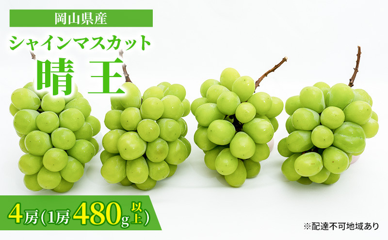 
                  ぶどう 2027年 先行予約 シャインマスカット 晴王 4房（1房480g以上）約2kg マスカット 岡山県産 国産 フルーツ 果物 ギフト 上品な香り 高級ぶどう 高級シャインマスカット 大粒 種なし 皮ごと
                
