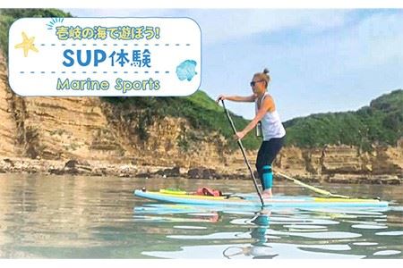 SUP体験 《壱岐市》【壱岐イルカパーク＆リゾート】[JBF008] 22000 22000円 
