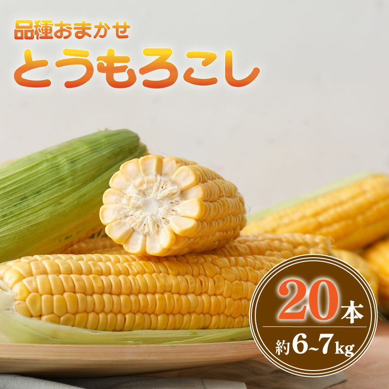 【ふるさと納税】 【 2026 年先行予約】とうもろこし 20本 約6～7kg 品種 おまかせ 数量限定 期間限定 ゴールドラッシュ おおもの ジューシー 甘い シャキシャキ 黄色い トウモロコシ コーン 茹で 焼き コーンスープ 旬 野菜 夏野菜 冷蔵 発送 送料無料 産地直送 千葉県 旭市