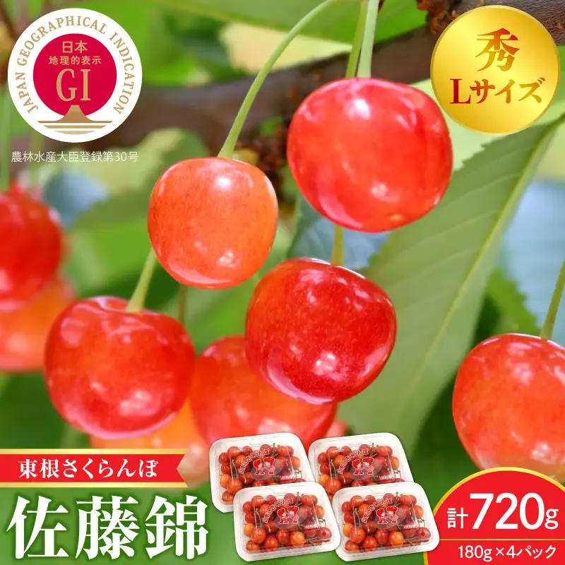 2027年産 GI 東根 さくらんぼ 佐藤錦 720g さくらんぼ 