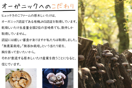 【有機JAS認証】 しいたけ 乾燥 極上 原木 干し 椎茸 どんこプレミアム 30g