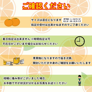 【2026年2月上旬から発送】宮内伊予柑とせとか 2種の柑橘食べ比べセット 4.5kg | せとか セトカ みかん 柑橘 みかん フルーツ みかん 食べ比べ ミカン みかん 蜜柑 柑橘 果物 くだもの