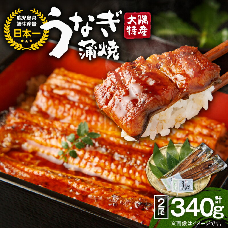 ＜国産＞ 大隅特産うなぎ蒲焼2尾(計340g［170g×2尾］) たれ・山椒付き！無頭真空パックのウナギ蒲焼き！湯煎または電子レンジで温めるだけでうなぎ本来の美味しさを味わえます！【株式会社寺園商店】
