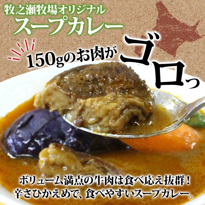 3024. ビーフ スープカレー 300g 15袋 カレー ビーフカレー スープ 牛 牛肉 放牧牛 牧場 レトルトカレー レトルト食品 レトルト 湯煎 レンジ 牧之瀬牧場 送料無料 北海道 弟子屈町_