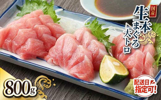 【冷蔵・指定日着可】生本マグロ 大トロ 800g（柵どり）