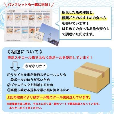 ふるさと納税 肝付町 漁師厳選!ロコフィッシュ(地魚) 下処理済 鮮魚 ボックス(約4〜5kg)　A78004 |  | 02