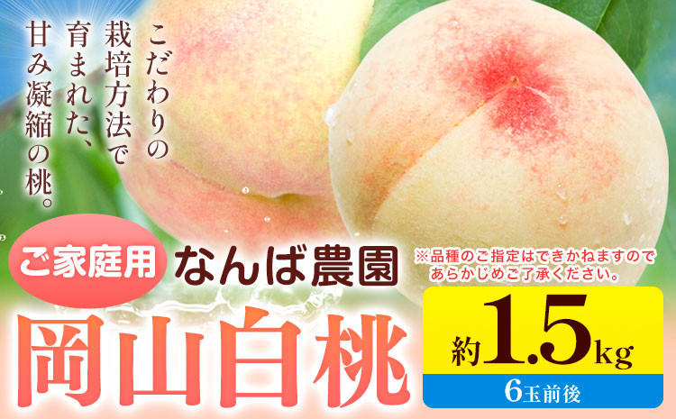 
            桃 もも【2025年先行予約】ご家庭用 岡山白桃 約1.5kg ( 6玉 前後 ) 《2025年6月中旬-8月下旬頃出荷》なんば農園 岡山県 浅口市 フルーツ モモ 果物 青果 旬 白桃 桃 訳アリ わけあり 訳あり 【配送不可地域あり】
          