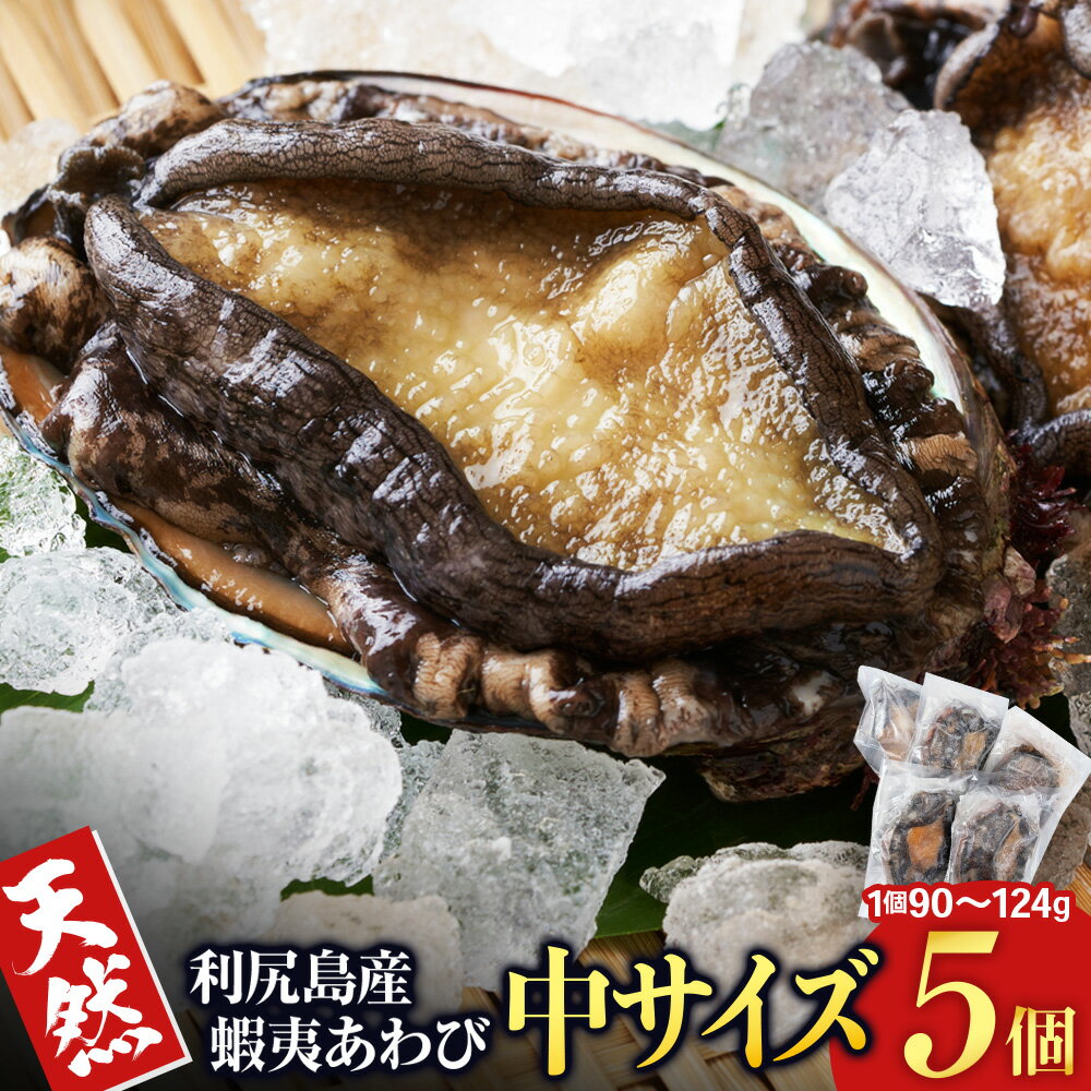 【ふるさと納税】【2025年1月以降発送】北海道 利尻島産 ☆天然蝦夷あわび 中サイズ☆ 5個北海道ふるさと納税 利尻富士町 ふるさと納税 北海道 海鮮 鮑 あわび えぞアワビ 冷凍アワビ 北海道産アワビ 産地直送 天然 冷凍 産地直送 刺身 高級海鮮 海鮮 おせち