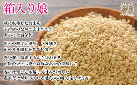 《早期予約》【令和6年産新米ななつぼし3か月定期便／毎月5㎏ 定期配送】低温保管新鮮米『箱入り娘　ななつぼし』令和6年秋収穫江差追分米　北海道江差町産　甘みと粘りの調和　北海道のおこめ　精米