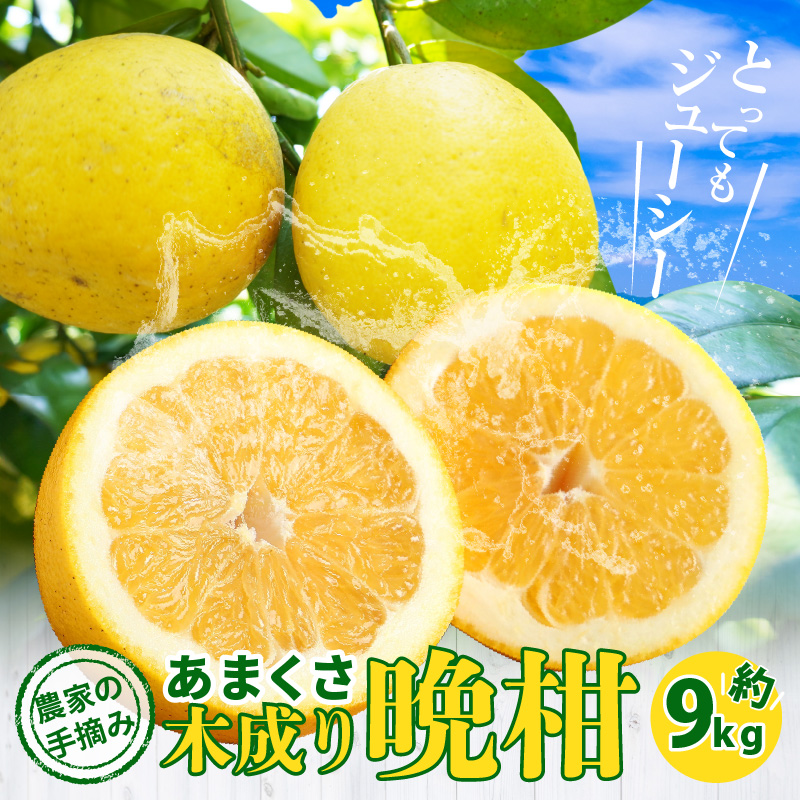S040-023_【2025.6月発送】農家の手摘みあまくさ木成り晩柑 　約9kg