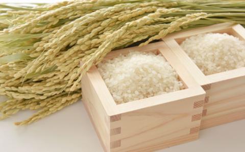 《先行予約》雪若丸・つきあかり・あきたこまち 食べ比べセット 15kg 精米 米 お米 おこめ 山形県 新庄市 F3S-1736