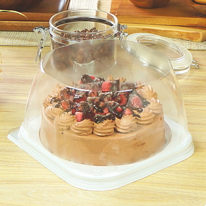 角切りイチゴのチョコレートケーキ 5号 / スイーツ ケーキ お菓子 デザート [AFAK061]